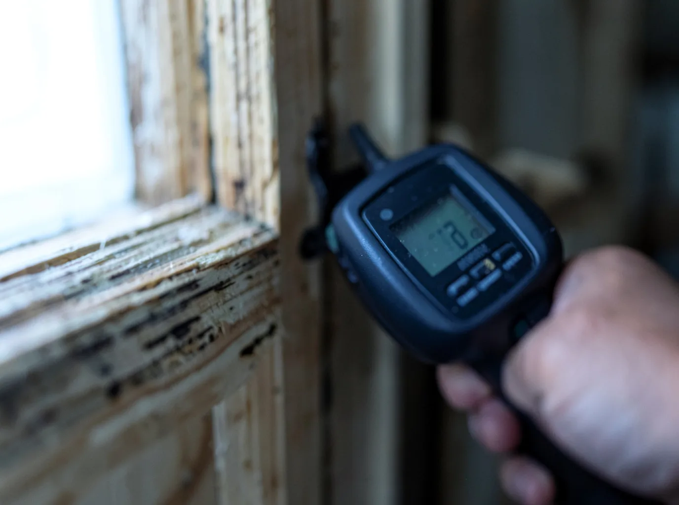 Moisture Inspection And Documentation in Makanda, IL